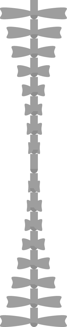Layer 3